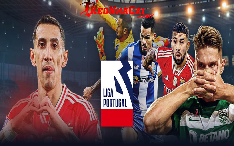 2 liga portugal Tầm quan trọng của BXH VĐQG Bồ Đào Nha